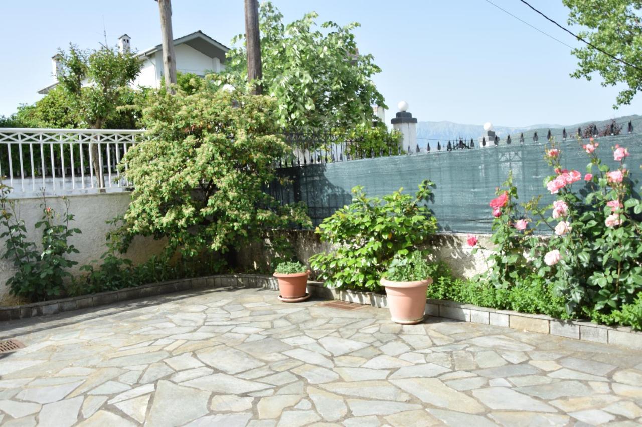Spacious Apartment At Ioannina, Anatoli Anatoli  Exterior photo